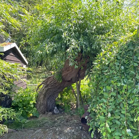 Ivy Near Amsterdam Holiday home Oudendijk