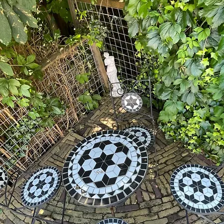 Ivy Near Amsterdam 度假居