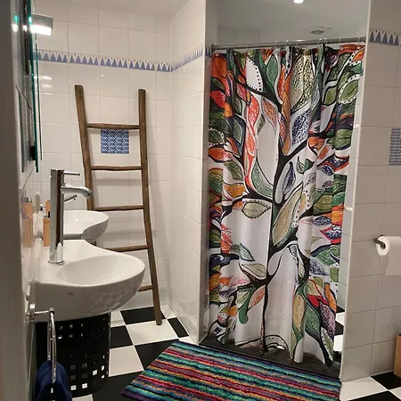 Ivy Near Amsterdam Oudendijk