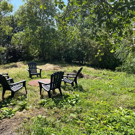 Ivy Near Amsterdam 度假居 *