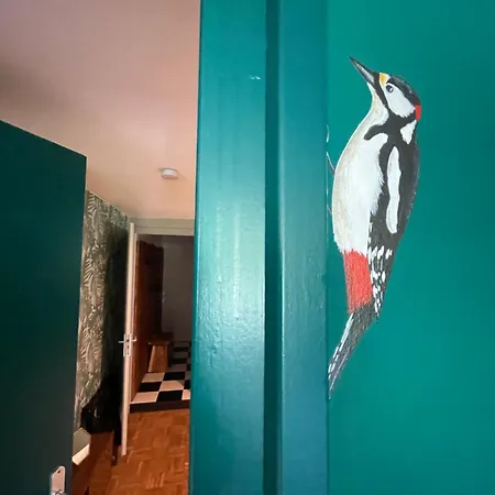 Ivy Near Amsterdam Oudendijk