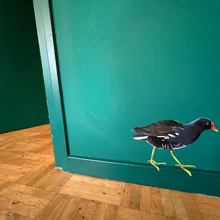 Ivy Near Amsterdam Oudendijk