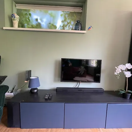 Ivy Near Amsterdam * Oudendijk