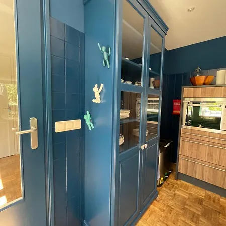 Ivy Near Amsterdam Oudendijk