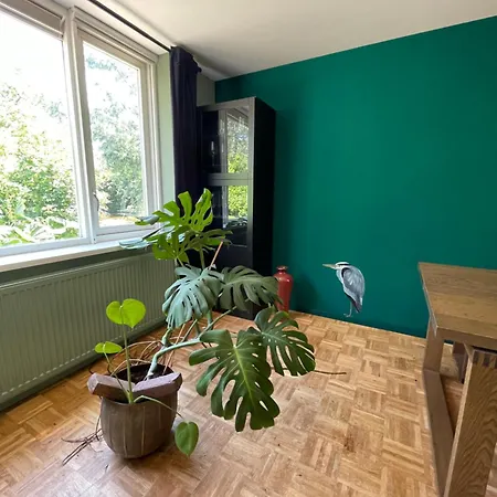 Ivy Near Amsterdam 度假居