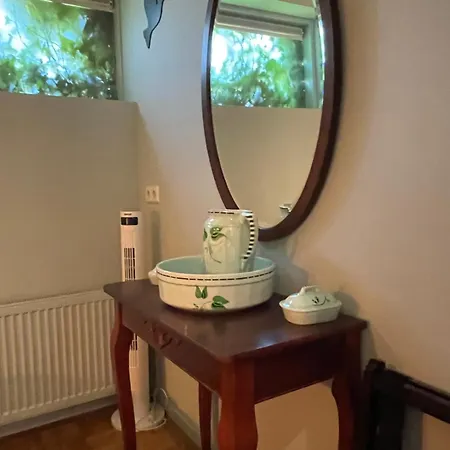 Ivy Near Amsterdam Oudendijk