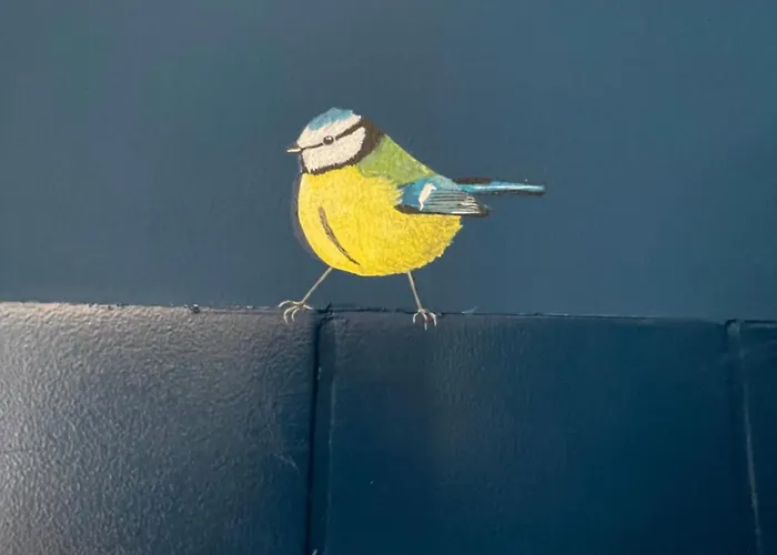 Ivy Near Amsterdam Tatil Evi Oudendijk