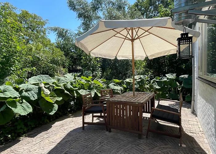 Ivy Near Amsterdam * Oudendijk