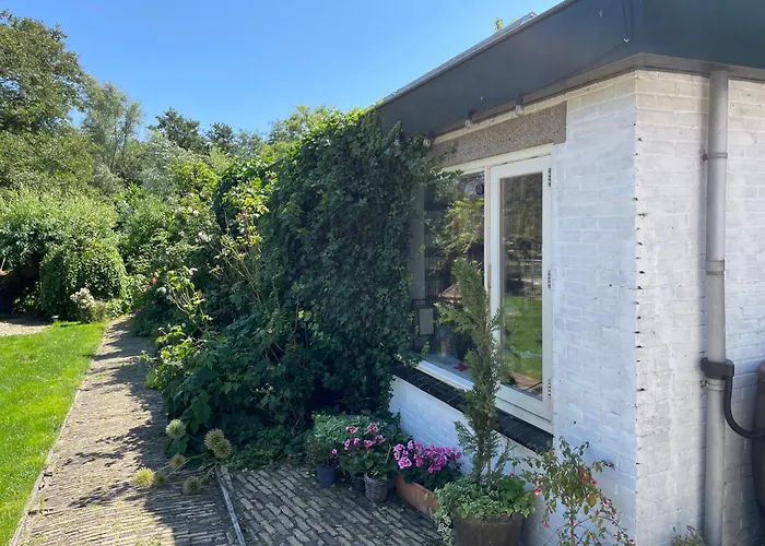 Ivy Near Amsterdam *