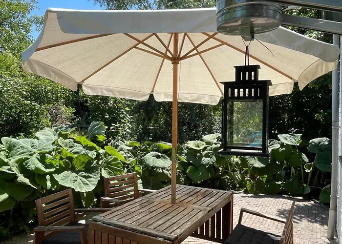 Ivy Near Amsterdam *