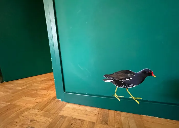 Ivy Near Amsterdam Oudendijk