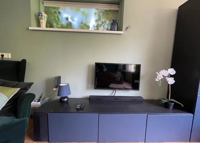 Ivy Near Amsterdam * Oudendijk