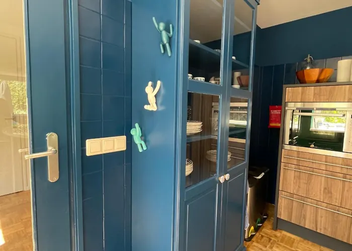 Ivy Near Amsterdam Oudendijk