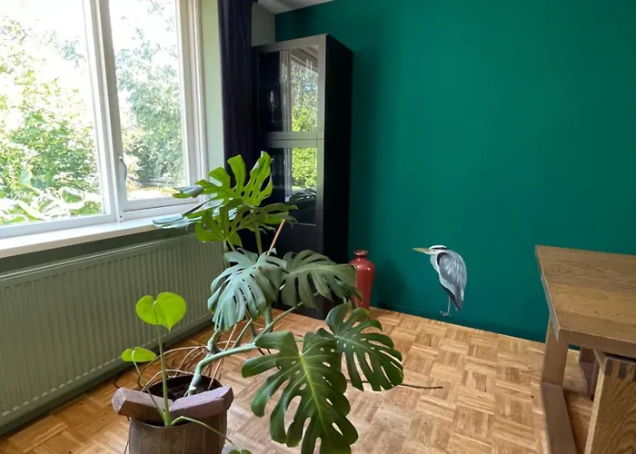 Ivy Near Amsterdam Tatil Evi