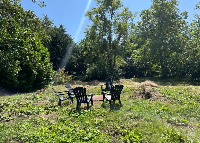 Ivy Near Amsterdam *