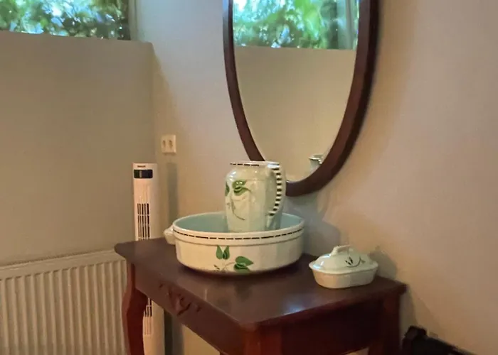 Ivy Near Amsterdam Oudendijk