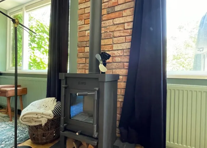 Ivy Near Amsterdam *