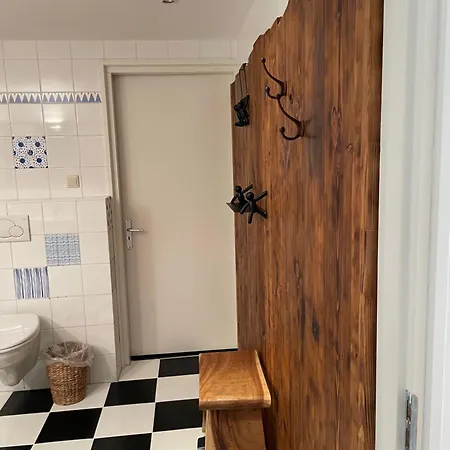 Ivy Near Amsterdam Oudendijk