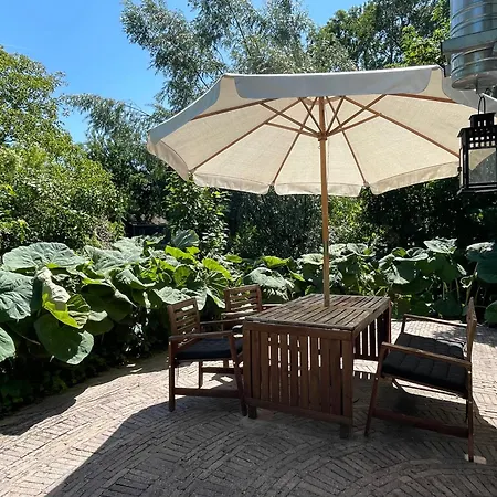 Ivy Near Amsterdam * Oudendijk