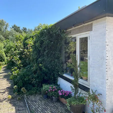 Ivy Near Amsterdam *