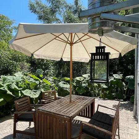 Ivy Near Amsterdam *