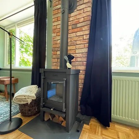 Ivy Near Amsterdam *